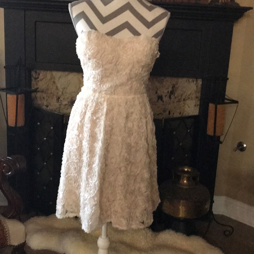 Chelsea & Violet sweetheart dress NWT